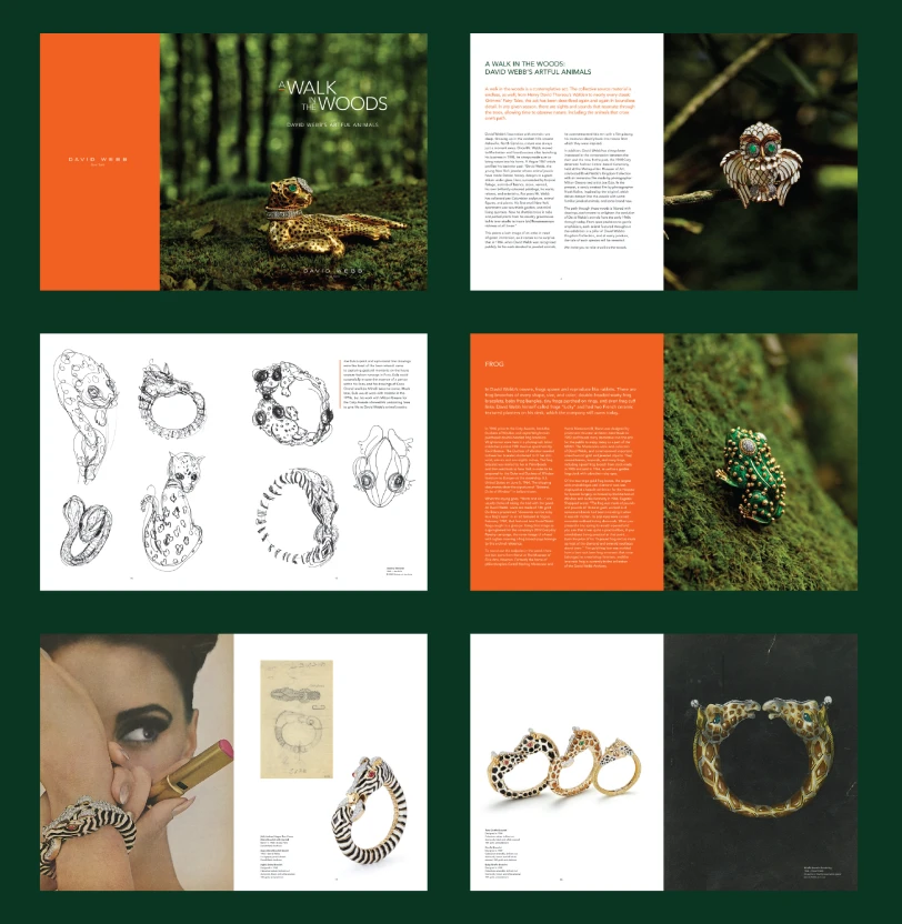 David Webb brochure spreads