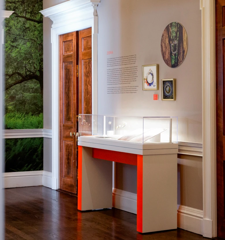 David Webb overview 1