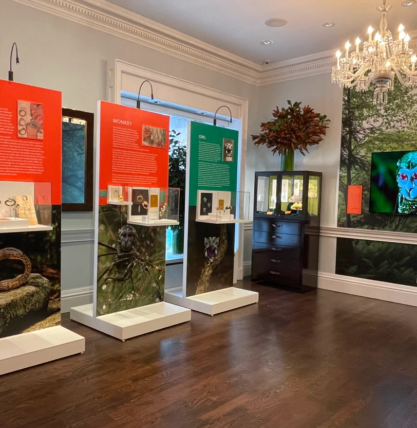 David Webb overview 2