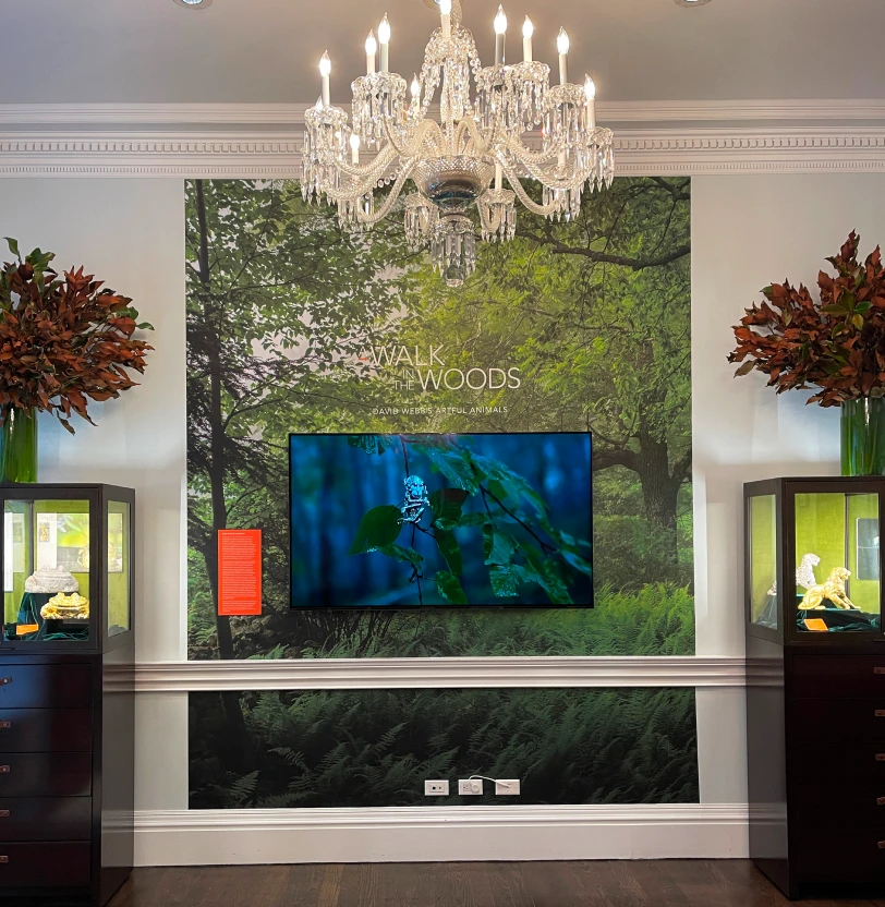 David Webb overview 4