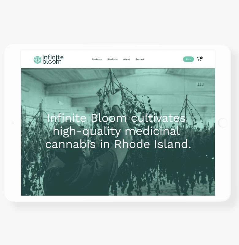 IB Homepage iPad Mockup