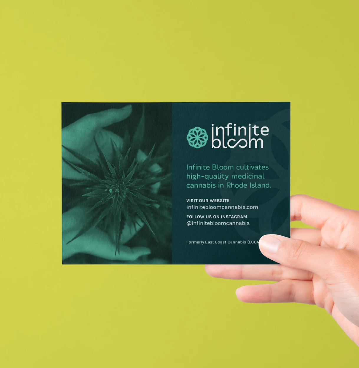 IB Card