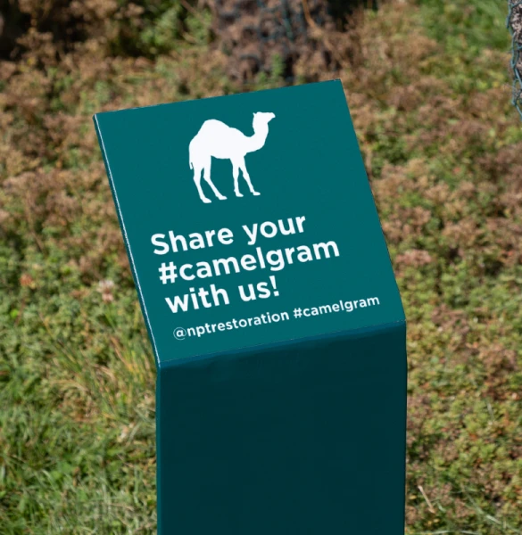 NRF sign design