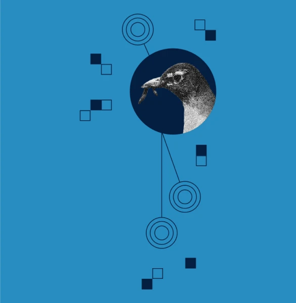 MIT Sloan graphic