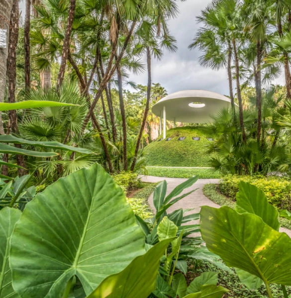 Gala Outdoor Garden