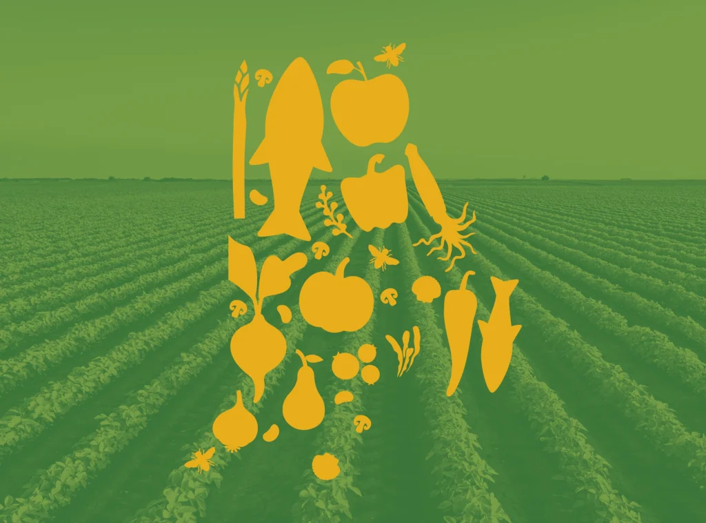 RIFPC brand pattern