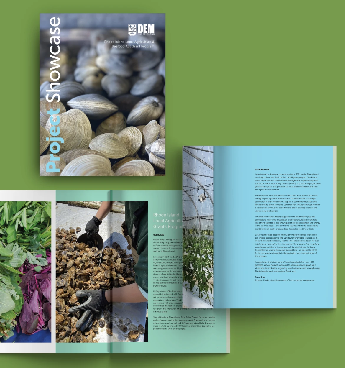 Project Showcase booklet